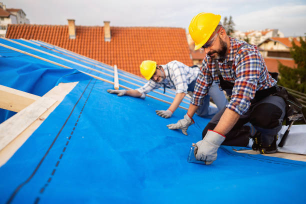 Best Gutter Installation and Roofing  in Pine Prairie, LA