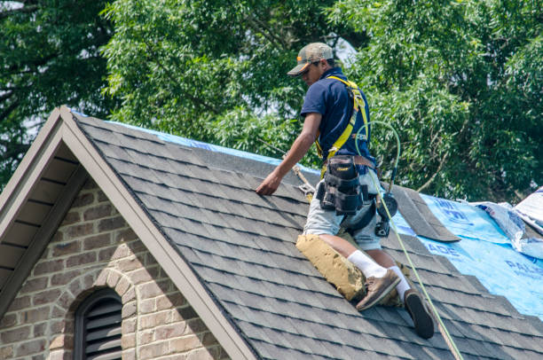 Best New Roof Installation  in Pine Prairie, LA